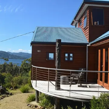 The Tree House