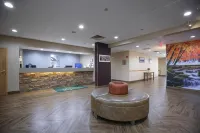 Quality Inn & Suites Boone - University Area Hotels in New River