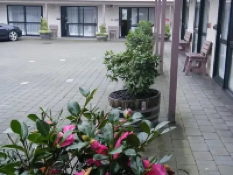 Camellia Court Motel Hotels in Lower Hutt