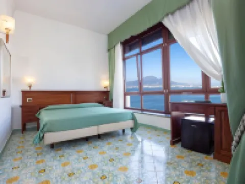La Panoramica Hotel Hotels in Castellammare di Stabia
