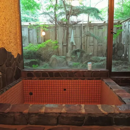Nikko Park Lodge Mountain Side