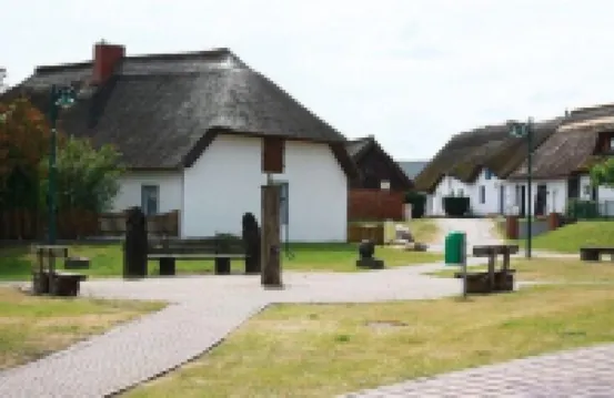Very close to the sea and km-long sandy beach; bright and quiet on the edge of the forest, balcony