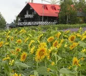 Woody Life Hotel in zona Kanno Farm