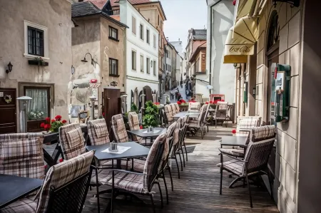 Hotel Dvorak Cesky Krumlov Отели в г. Чески-Крумлов