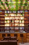 Dreamliner Hotel - bar