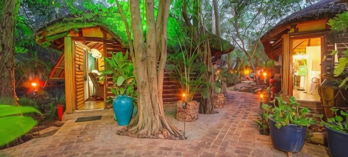 Wielewaal Bush Lodge Hotels in Marloth Park