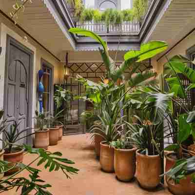Riad Dar Saad - Hammam & Rooftop Café Hotel Exterior