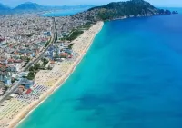 클레오파트라 선라이트