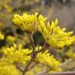 正觀湯溫泉旅館