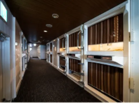 G-Topia Capsule & Sauna