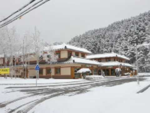 Odaesan Moonlight Hotels near Woljeongsa Temple & Fir Tree Forest