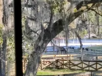 Dreamy Studio in The Heart of Horse Country - Apartments