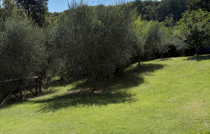 detached villa with a private swimming pool and a large terrain