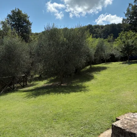 detached villa with a private swimming pool and a large terrain
