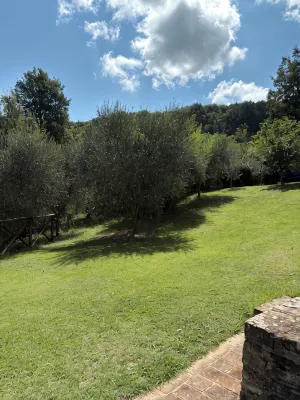detached villa with a private swimming pool and a large terrain