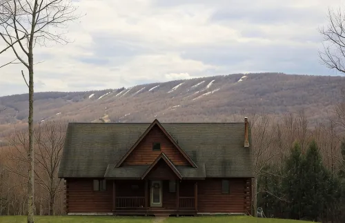 Stunning Catskills Cabin Getaway, facing BelleAyre