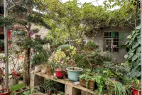Wuyishan Spring Homestay - 2-Star