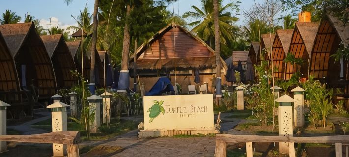 Turtle Beach Hotel Hotels in Lombok