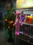 Qingcheng Youth Hostel