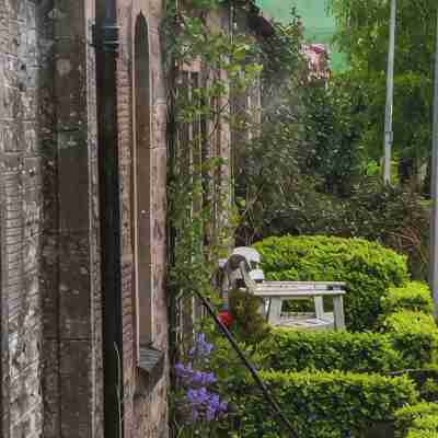 Woodview - Idyllic Cottage in the Country Hotel Exterior