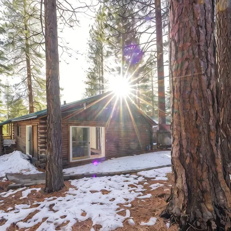 Snowy Pines Cabin