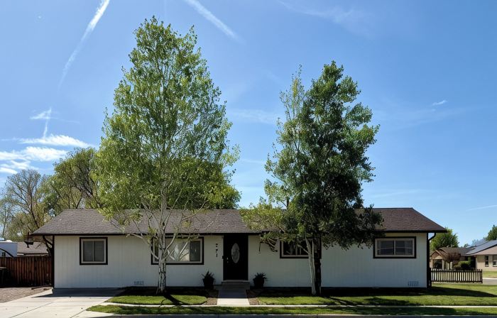 Spacious 4-bedroom, pet friendly, outdoor games, fire pit in charming Fruita