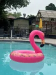 RT62 Motor Resort 70's Cabin w/Jacuzzi - Hytter