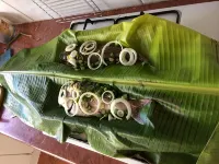 農家樂