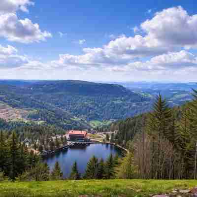 Holiday Apartment “Vogelnest” with Black Forest View in Baiersbronn Others