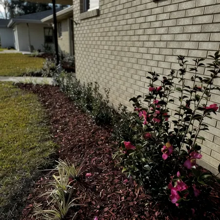 Cozy Southern Charm in Houma