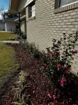Cozy Southern Charm in Houma