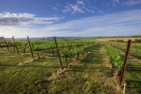 100 Dreamy Acres.100 Mile Views. Night Skies. - 5-Star