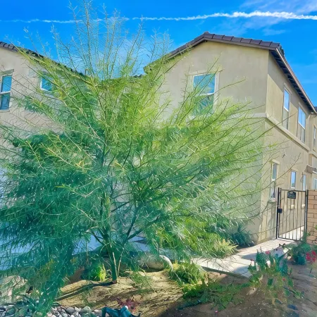 "Luxury Lakefront Paradise: Heated Pool Haven with Unrivaled Views"