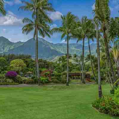 Tropical Paradise #8 at HBR, King Bed Studio with beach access, AC & kitchen Hotel Exterior