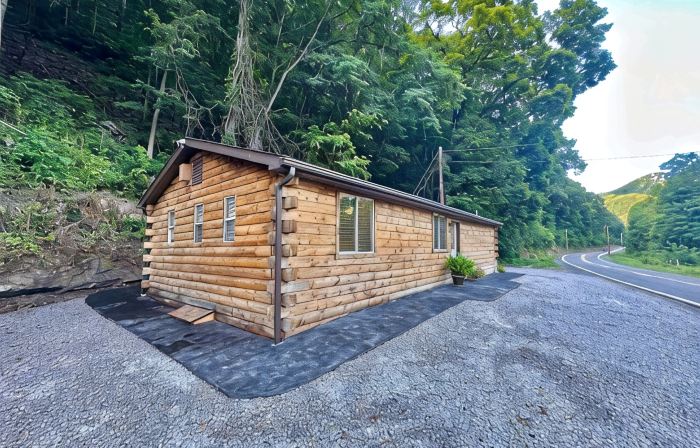 Cozy 2-bedroom, river access, near Smoke Hole, Seneca Rocks & Dolly Sods