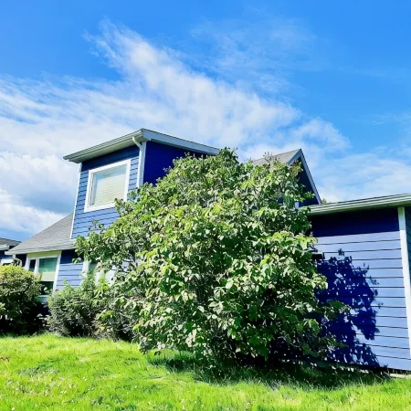 Big Bear: Spacious 4-Bedroom Near the Ocean