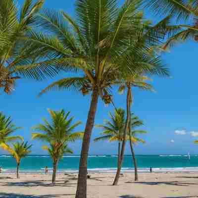 Tropical Retreat | Private Beach Access + Pool | Gated Fitness & Recreational Facilities