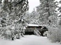 Unique private Forest  mountain Getaway - Feriehus