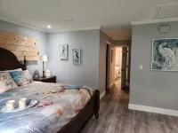 Private Solar Heated Salt Water Pool- Minutes from Everything in St. Pete! - Bungalows