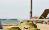 Coconut Lodge Resort - Ocean View