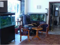Timgade Hotel a Oran