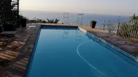 Dolphin Point B&B