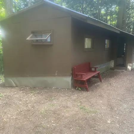 Cute cabin in the woods