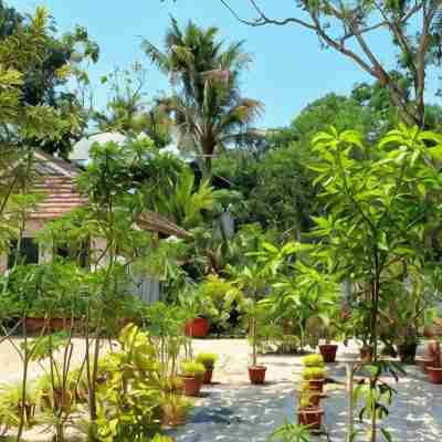 Marari Yoga Homestay Hotel Exterior