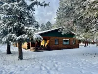 Spacious Family Friendly Cozy Cabin
