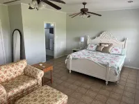 Charming 4-bedroom house in lovely Blanco with stunning outdoor spaces! Hotels in Blanco