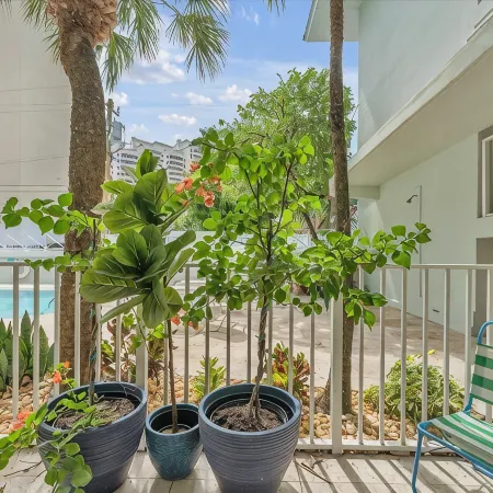 Key Biscayne Gem — Steps to Beach, Pool Views, King Bed, Parking