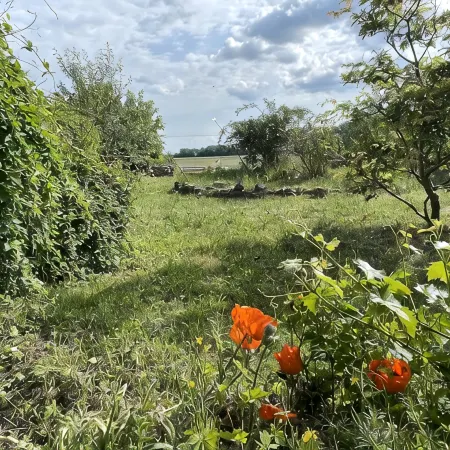 Former farmhouse with artistic ambience, sauna and whirlpool