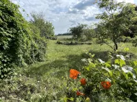 Former farmhouse with artistic ambience, sauna and whirlpool - Homestays