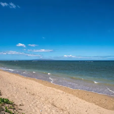 Tranquil Oceanfront Vistas
